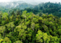 Terobosan Baru Konservasi Hutan Indonesia, Upaya Sinergi Sumber Daya untuk #SelamatkanPlanetKita!