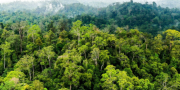 Terobosan Baru Konservasi Hutan Indonesia, Upaya Sinergi Sumber Daya untuk #SelamatkanPlanetKita!