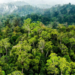 Terobosan Baru Konservasi Hutan Indonesia, Upaya Sinergi Sumber Daya untuk #SelamatkanPlanetKita!