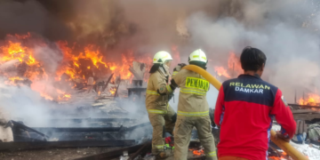 Kebakaran Melanda Bangunan Semi-Permanen di Penjaringan, Kerugian Ditaksir Rp400 Juta