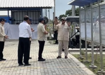 Presiden Prabowo Subianto melakukan kunjungan kerja ke BLUPPB di Karawang. Ia mengamati tambak budidaya ikan nila salin.