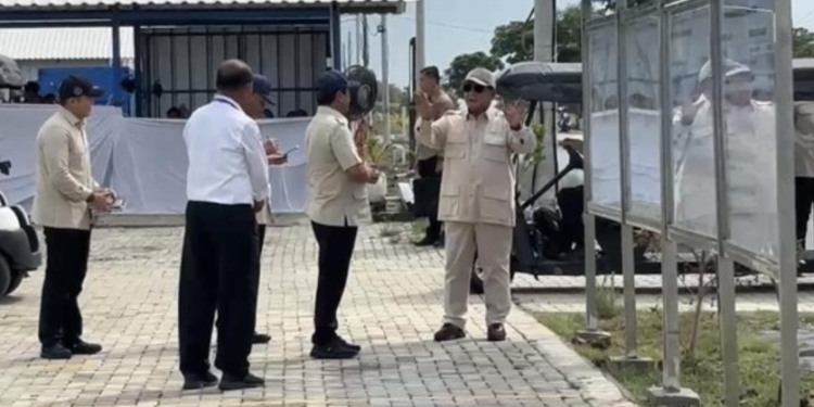 Presiden Prabowo Subianto melakukan kunjungan kerja ke BLUPPB di Karawang. Ia mengamati tambak budidaya ikan nila salin.