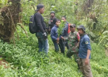Pemilik Ladang Ganja di Kawasan TNBTS Masih Buron, Polisi Terus Lakukan Pengejaran