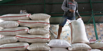 RI Buka Peluang Ekspor Beras ke Malaysia, Tapi Tunggu Stok Domestik Aman