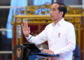 Jokowi Ditunjuk Jadi Dewan Penasehat Global Bloomberg New Economy